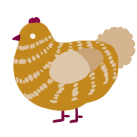 tosses them at u, a ochre and beige chicken with a bar pattern