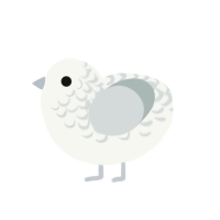 Mist, a white and silver chicken with a half-lace pattern