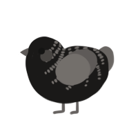 Emo backstory orphan, a sable and grey chicken with a half-bar pattern