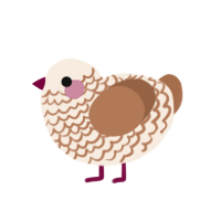 zw, a cream and brown chicken with a lace pattern