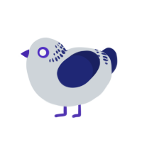 (unnamed), a mist and navy chicken with a neck-band pattern