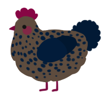 A bark and tumblr chicken with a speckle pattern