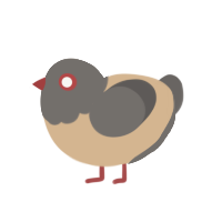(unnamed), a beige and grey chicken with a head pattern