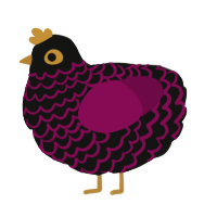 Cashmere, a black and wine chicken with a lace pattern