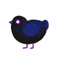 Blackhole, a sable and navy chicken with a half-lace pattern