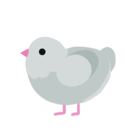 Pidgeon, a silver chicken with a head pattern