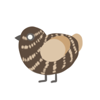 Chocolate, a bark and beige chicken with a bar pattern
