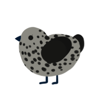 (unnamed), a ash and black chicken with a speckle pattern