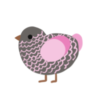 B1PX, a grey and pink chicken with a lace pattern