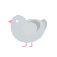 Bawk-Tuah, a mist and silver chicken with a half-bar pattern