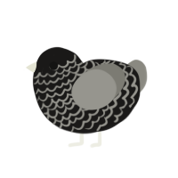 (unnamed), a sable and ash chicken with a lace pattern