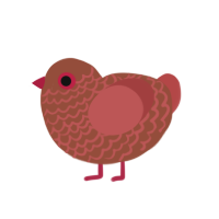 Apple Cinnamon Spice, a russet and red chicken with a lace pattern