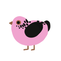 (unnamed), a pink and black chicken with a neck-speckle pattern