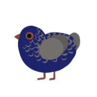 Ablutophobia, a navy and grey chicken with a half-lace pattern