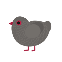 (unnamed), a grey chicken with a lace pattern