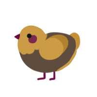 Refried Beans, a bark and gold chicken with a head pattern