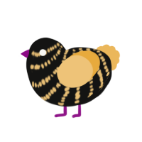 (unnamed), a black and honey chicken with a bar pattern