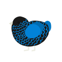 (unnamed), a sable and sapphire chicken with a lace pattern