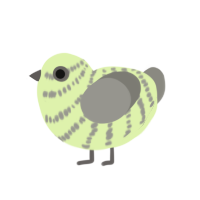 (unnamed), a apple and ash chicken with a bar pattern