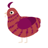 (unnamed), a red and wine chicken with a bar pattern
