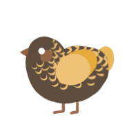 (unnamed), a bark and honey chicken with a half-lace pattern