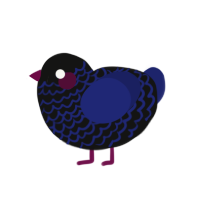 (unnamed), a black and navy chicken with a lace pattern