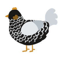 (unnamed), a sable and mist chicken with a lace pattern