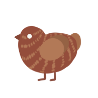 (unnamed), a russet and brown chicken with a bar pattern