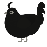 A black chicken with a half-lace pattern