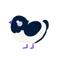 Thunder, a white and tumblr chicken with a head pattern