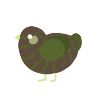 kiwi the food, a bark and olive chicken with a bar pattern