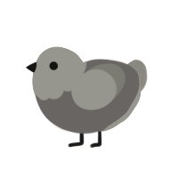 Pidgeon, a grey and ash chicken with a head pattern