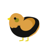 (unnamed), a black and orange chicken with a head pattern