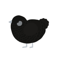 (unnamed), a black and sable chicken with a lace pattern