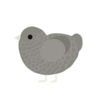 (unnamed), a ash chicken with a lace pattern