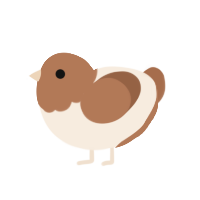 birthday, a cream and brown chicken with a head pattern