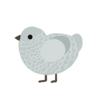 Teacup, a silver chicken with a lace pattern