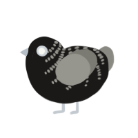 (unnamed), a sable and ash chicken with a half-bar pattern