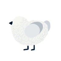 (unnamed), a white and mist chicken with a double-lace pattern