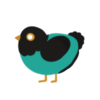 Very Nice, a turquoise and sable chicken with a head pattern