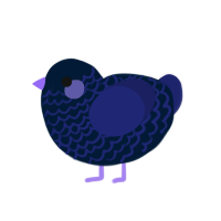 zw, a tumblr and navy chicken with a lace pattern