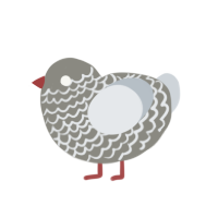 Honk, a ash and mist chicken with a lace pattern
