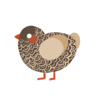 (unnamed), a bark and beige chicken with a double-lace pattern