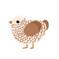 wiwiw, a cream and brown chicken with a lace pattern