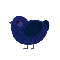 (unnamed), a navy and tumblr chicken with a lace pattern