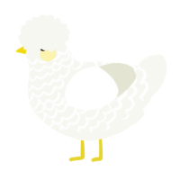 Lemon, a white chicken with a lace pattern