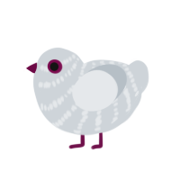 (unnamed), a mist chicken with a bar pattern