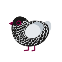 (unnamed), a sable and mist chicken with a lace pattern