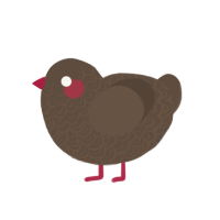 (unnamed), a bark chicken with a double-lace pattern