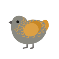 Owl, a ash and orange chicken with a half-lace pattern